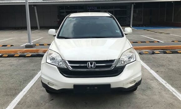 Buy Used Honda Cr V White Car In Panama In Panama Carrocarros Panama