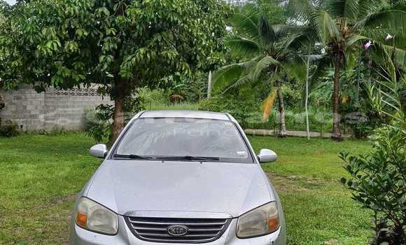 【☺︎】 Bald bull was a challenge 🤧🤧🤧 | Facebook